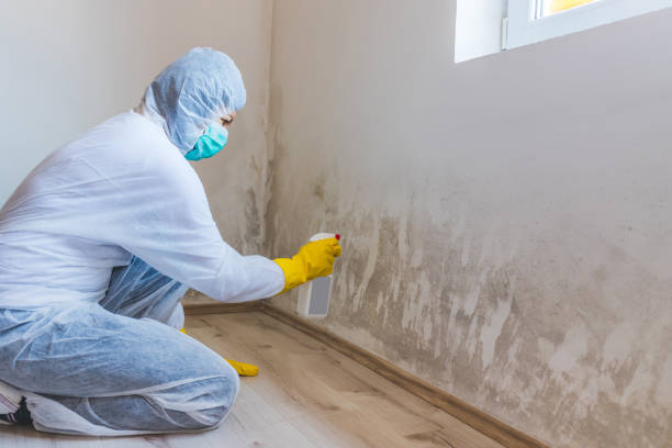 Licensed Commercial Mold Remediation service in Barnesville, MD - WQB Mold Removal