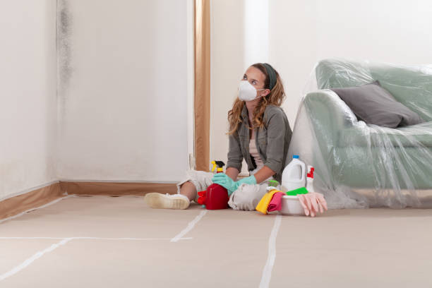 Reliable Commercial Mold Remediation contractor in Barnesville, MD by WQB Mold Removal